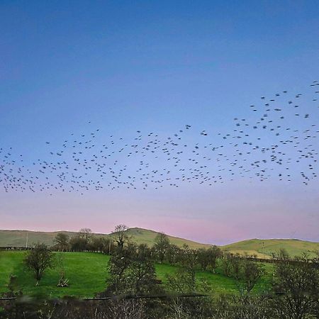 Wild Valley Bunkhouse Llanrhaeadr-ym-Mochnant Екстер'єр фото